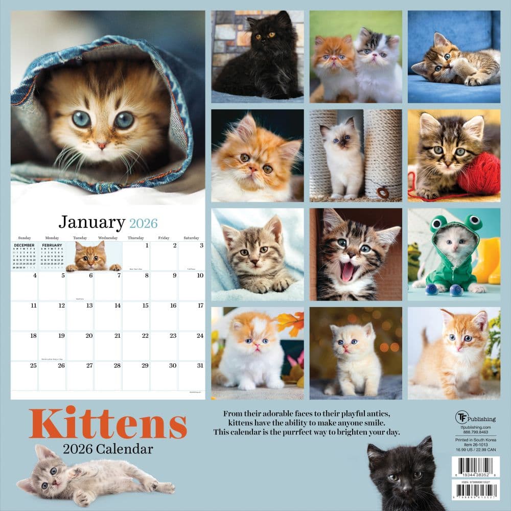 Kittens 2026 Wall Calendar First Alternate Image