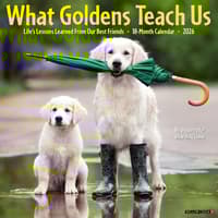 image What Goldens Teach Us 2026 Wall Calendar Main Image