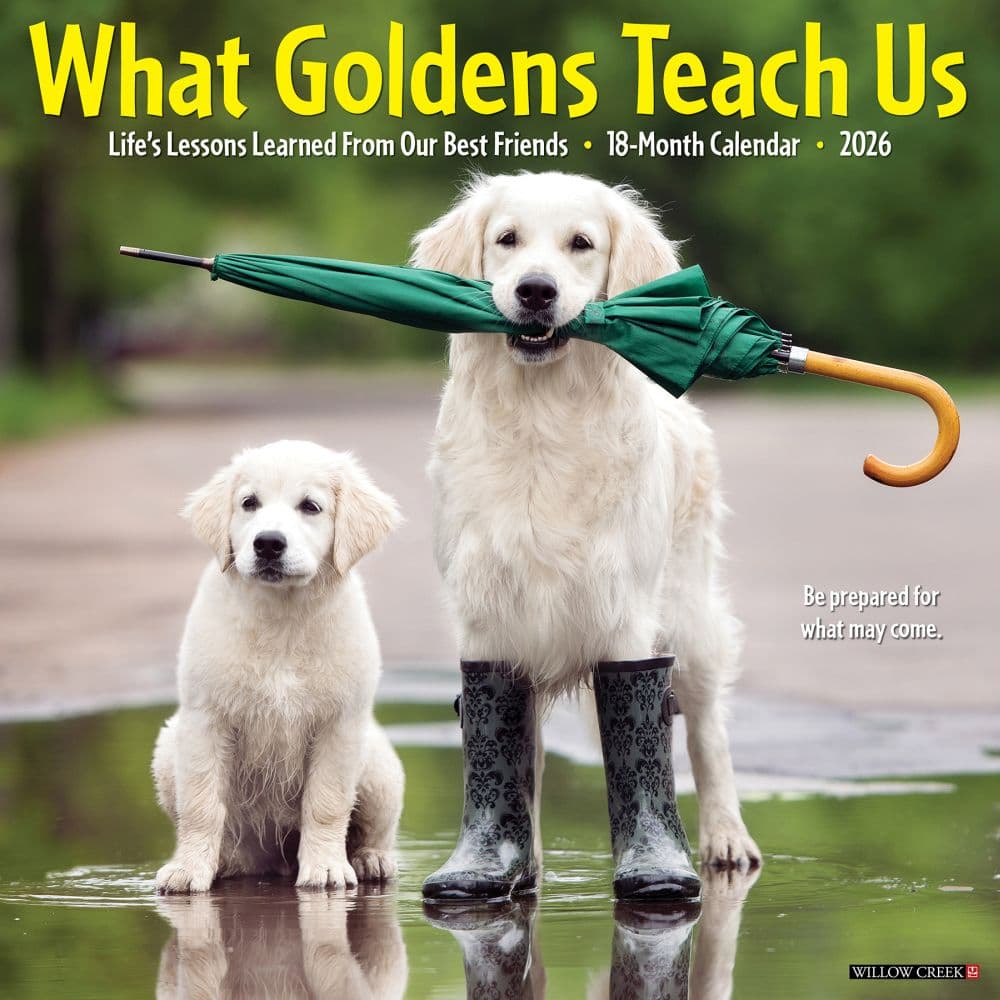 What Goldens Teach Us 2026 Wall Calendar Main Image