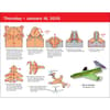 image Paper Airplane 2025 Desk Calendar Alt2