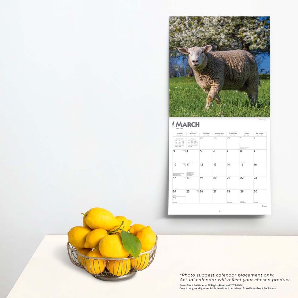 Sheep 2024 Wall Calendar Calendars Com   471b7593 E4ed 4596 9f3c E72b076200ea