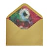 image Daisy Get Well Card Third Alternate Image width=&quot;1000&quot; height=&quot;1000&quot;