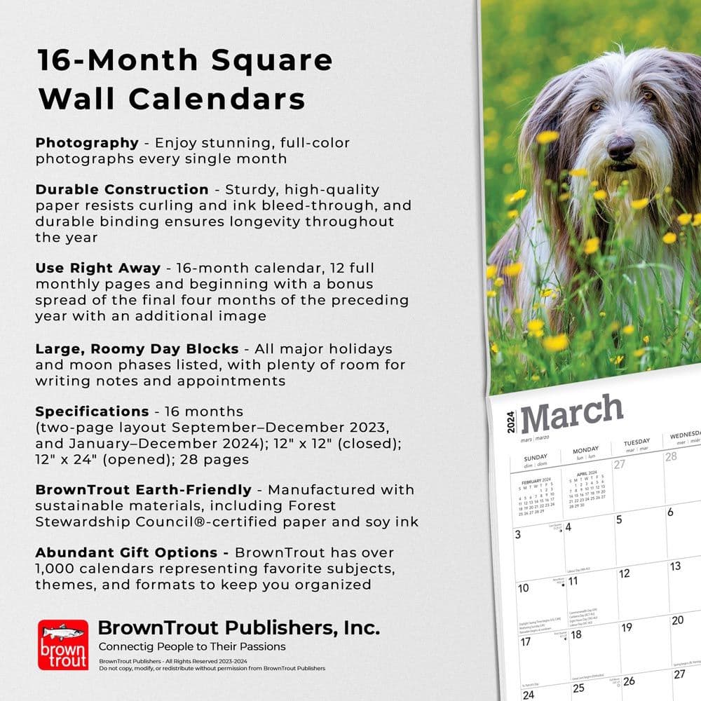 Bearded Collies 2024 Wall Calendar Fourth Alternate Image width=&quot;1000&quot; height=&quot;1000&quot;
