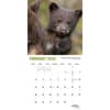 image Montana Wild Babies 2024 Mini Wall Calendar