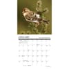 image Backyard Birds 2026 Mini Wall Calendar Second Alternate Image