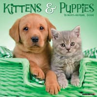 image Kittens and Puppies 2026 Wall Calendar Main Image