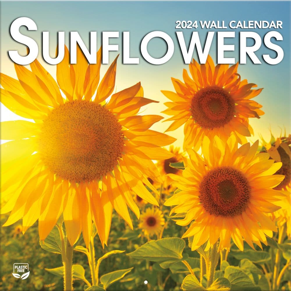 Sunflowers 2024 Wall Calendar Main Image