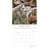 image Llamas 2025 Wall Calendar Third Alternate Image width=&quot;1000&quot; height=&quot;1000&quot;