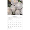 image Magic Mushrooms 2025 Wall Calendar Second Alternate Image