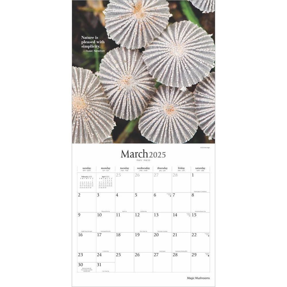 Magic Mushrooms 2025 Wall Calendar Second Alternate Image