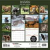 image Wildlife 2025 Wall Calendar First Alternate Image width="1000" height="1000"