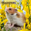 image Hamsters 2024 Wall Calendar Main Product Image width=&quot;1000&quot; height=&quot;1000&quot;