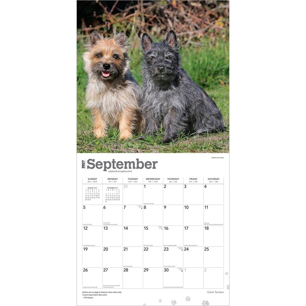Cairn Terriers 2027 Wall Calendar Third Alternate Image