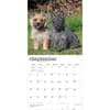 image Cairn Terriers 2027 Wall Calendar Third Alternate Image