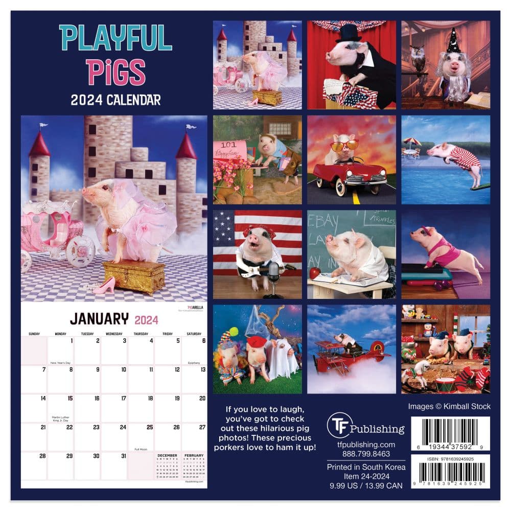 Playful Pigs 2024 Mini Wall Calendar