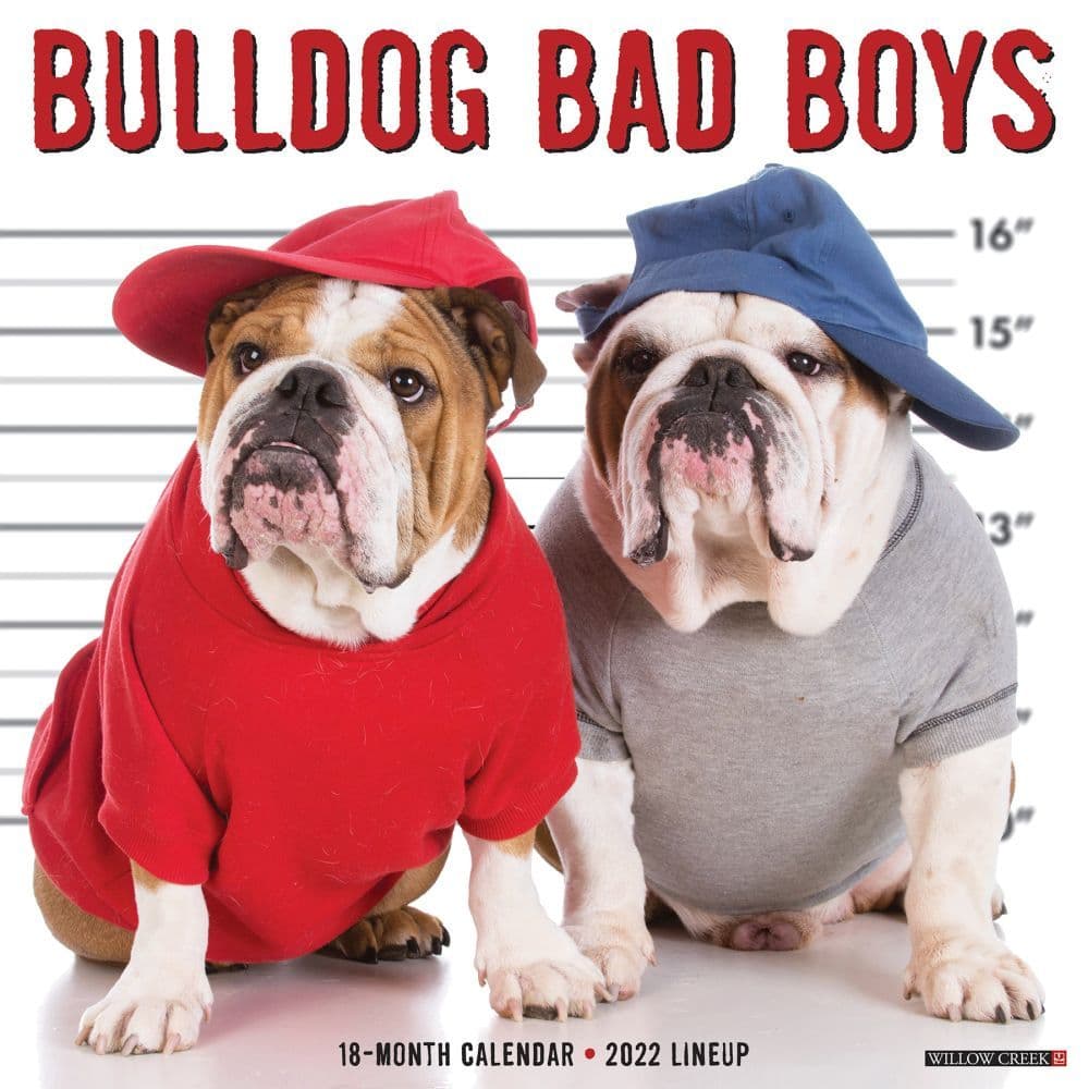 Just Bulldog Bad Boys 2022 Wall Calendar