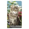 image Kitten Cuddles 2 Year Pocket 2024 Planner Main Product Image width=&quot;1000&quot; height=&quot;1000&quot;