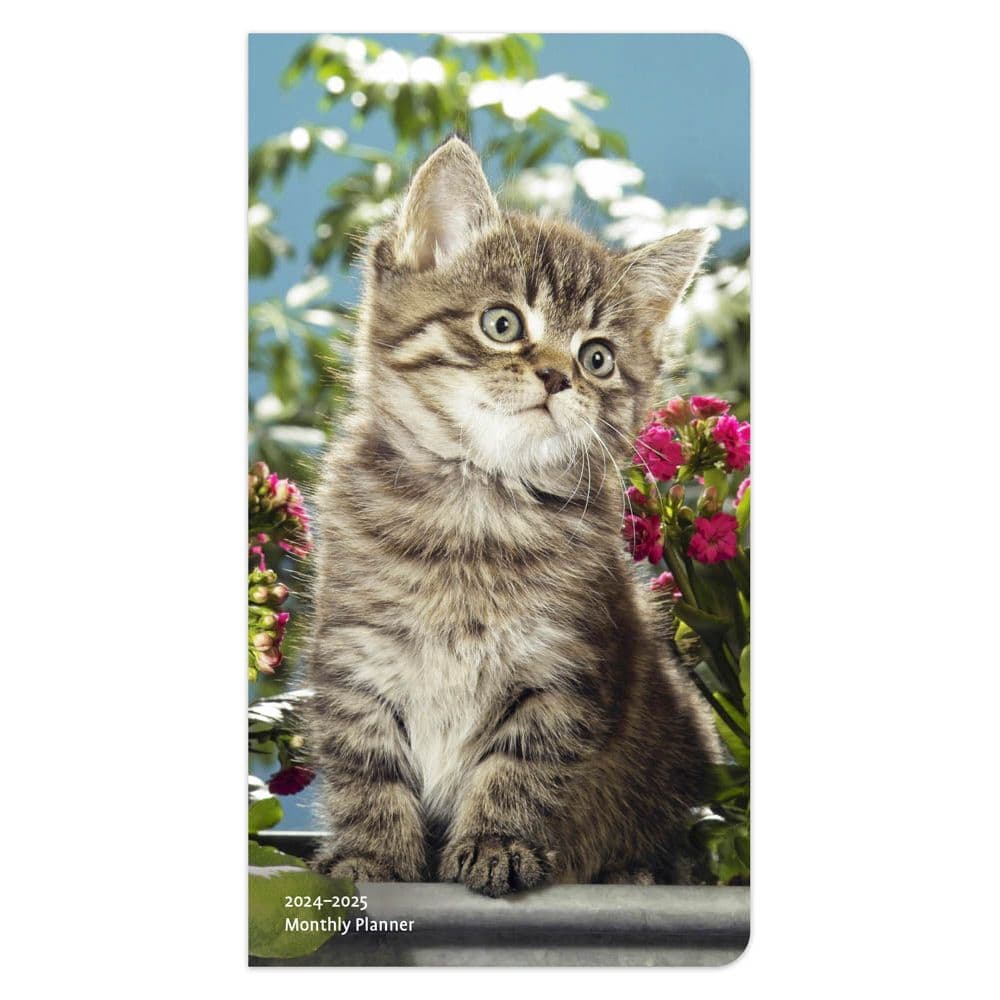 Kitten Cuddles 2 Year Pocket 2024 Planner Main Product Image width=&quot;1000&quot; height=&quot;1000&quot;