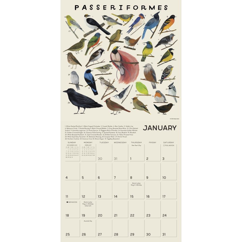 Illustrated Animal Kingdom 2026 Wall Calendar Second Alternate Image