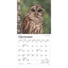 image Owls 2025 Mini Wall Calendar