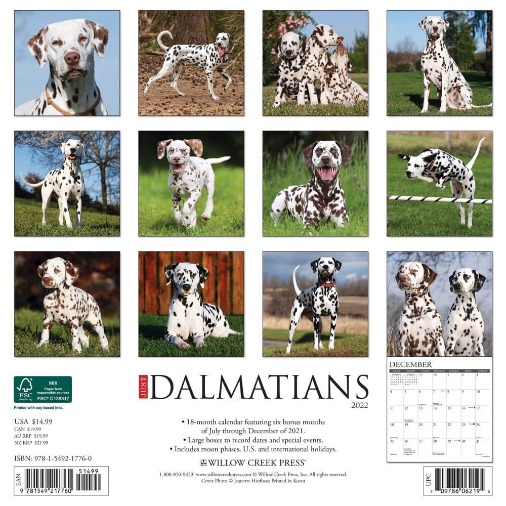 DALMATION DOG CALENDAR FILLED WITH 2020 & AN ORDER FORM FOR 2021 