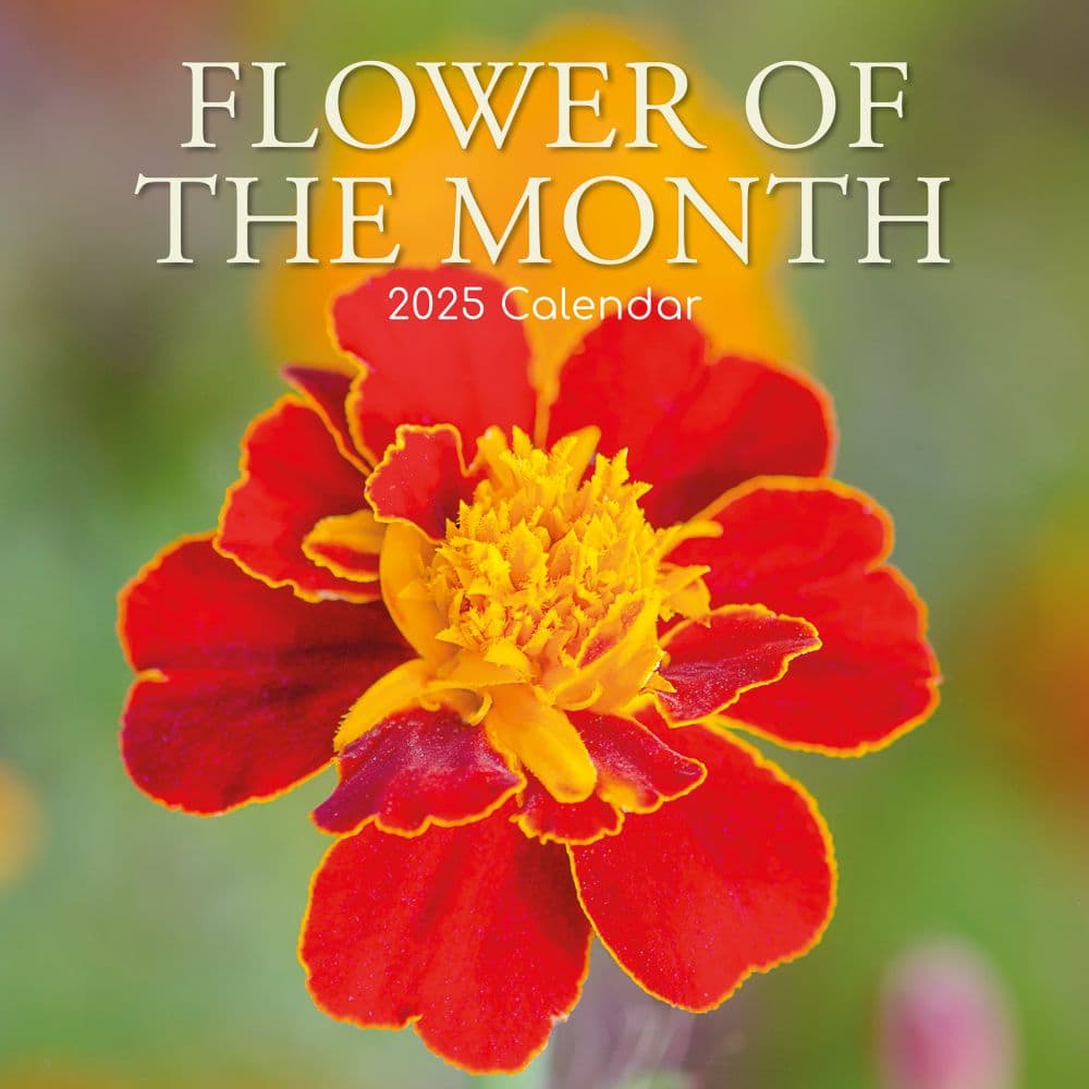 Flower of the Month 2025 Wall Calendar Main Product Image width=&quot;1000&quot; height=&quot;1000&quot;