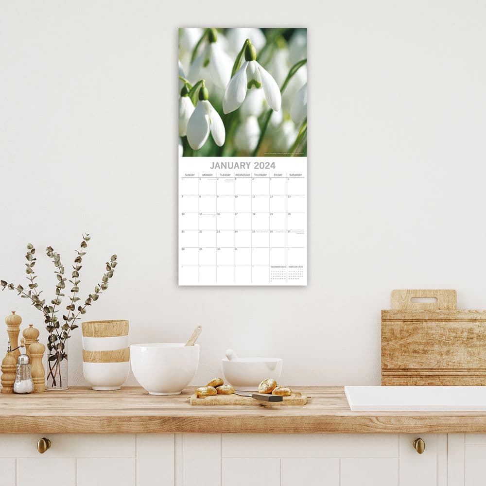 Flower of the Month 2024 Wall Calendar