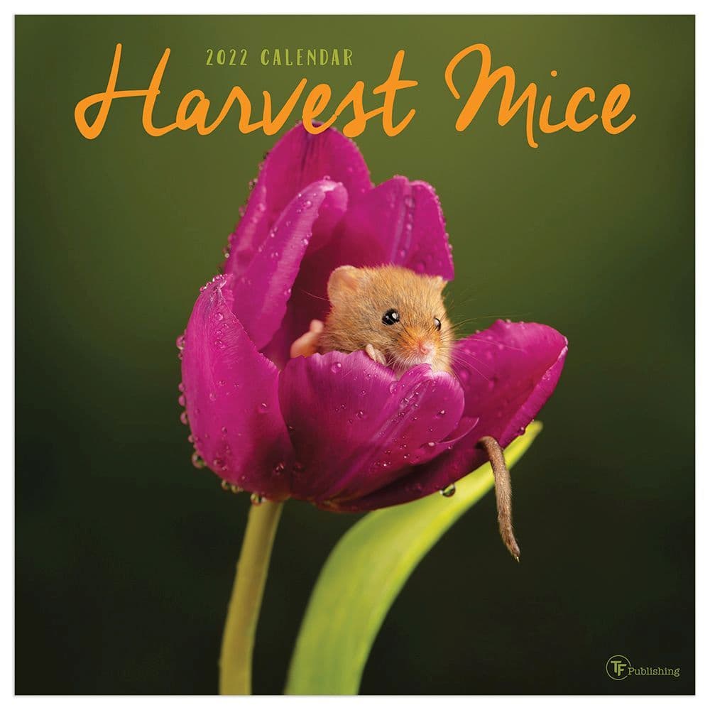 Harvest Mice 2022 Wall Calendar