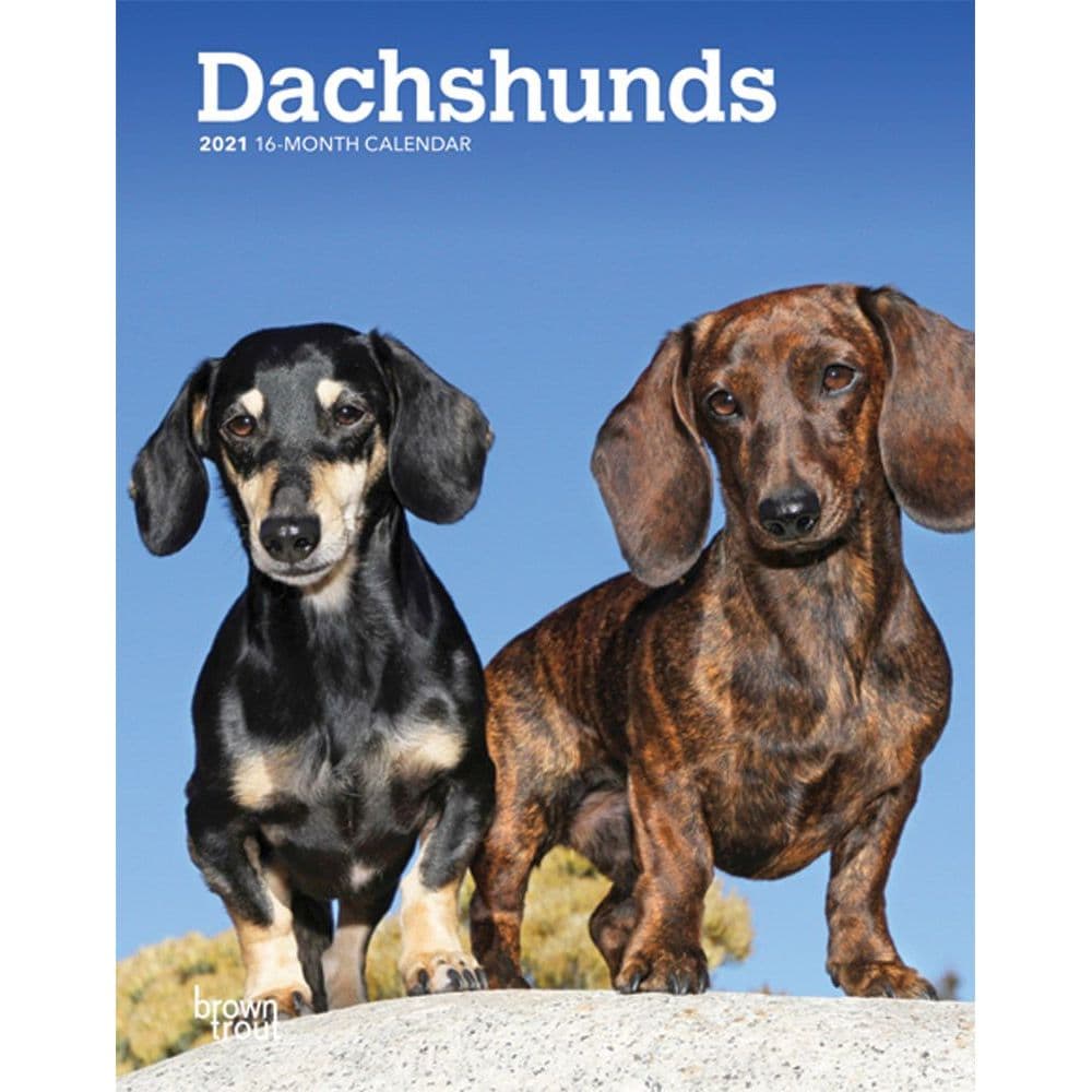Dachshunds Planner