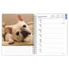 image French Bulldogs 2025 Engagement Planner
