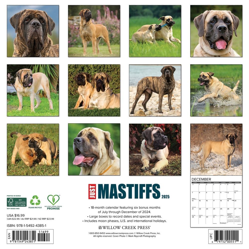 Mastiffs Just 2025 Wall Calendar