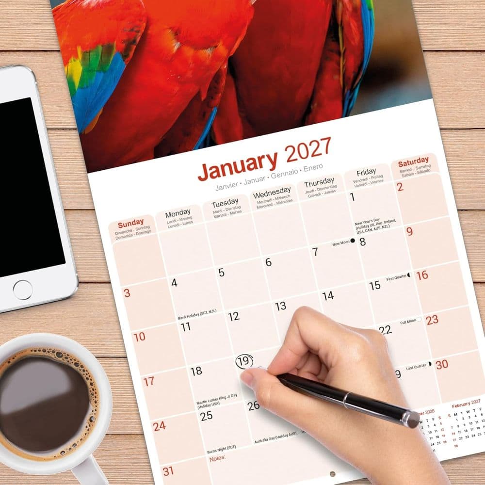 Macaws 2027 Wall Calendar Fourth Alternate Image