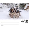 image Just Basset Hounds 2025 Desk Calendar