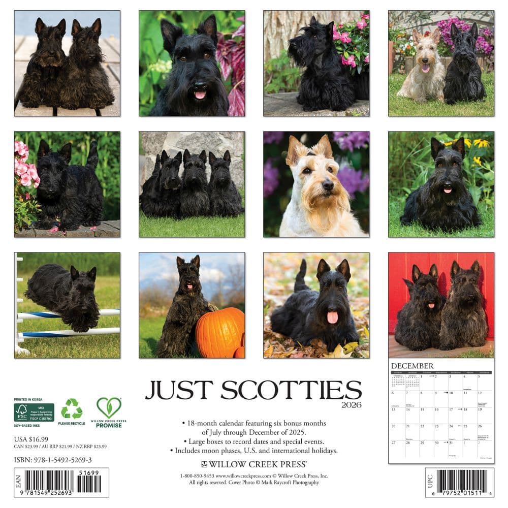 Just Scotties 2026 Wall Calendar First Alternate Image