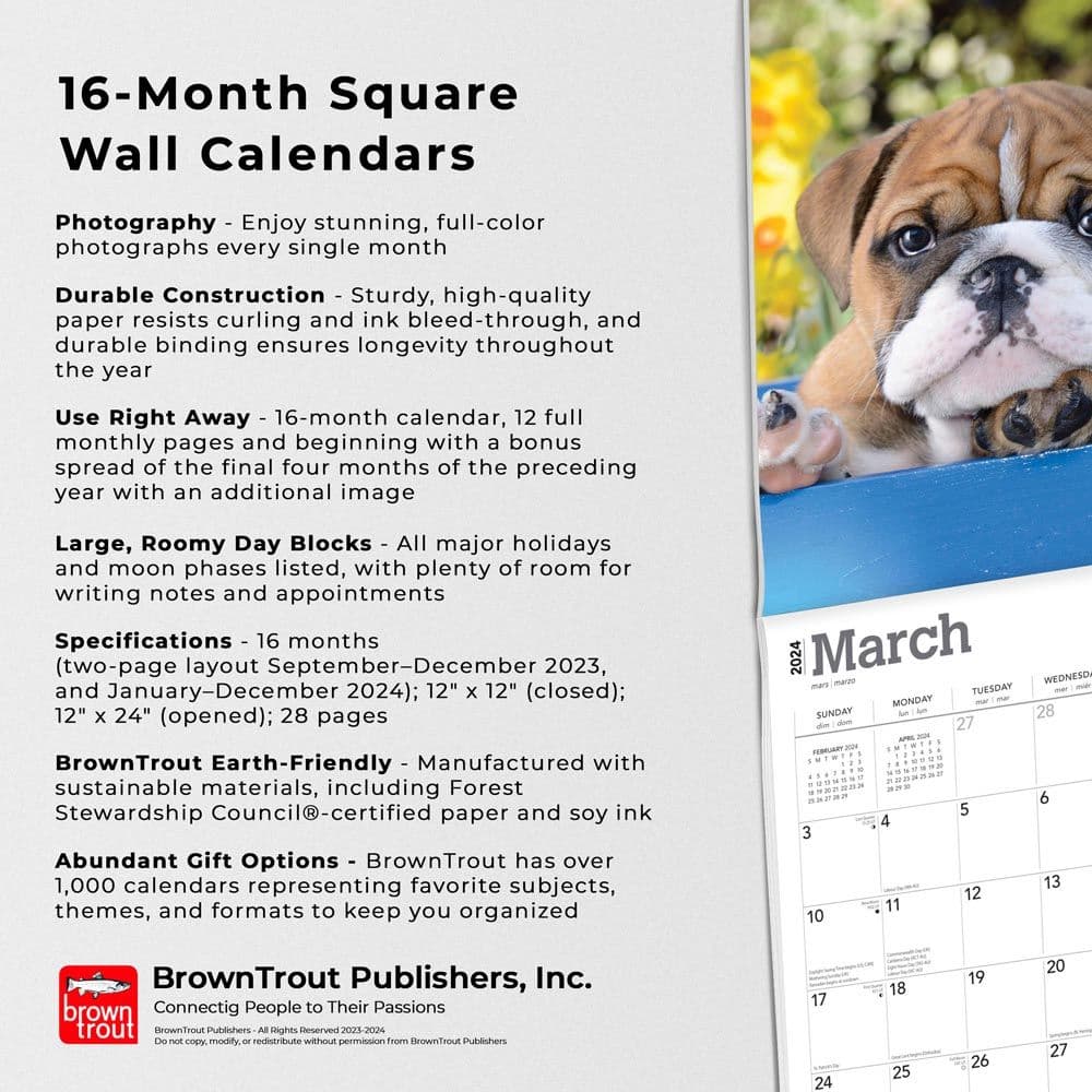 Bulldog Puppies 2024 Wall Calendar Fourth Alternate Image width=&quot;1000&quot; height=&quot;1000&quot;