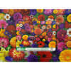 image Blooming Every Daisy 500 Piece Puzzle Third Alternate Image