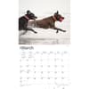 image Lab Retriever Deluxe 2024 Wall Calendar Second Alternate Image width=&quot;1000&quot; height=&quot;1000&quot;