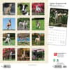 image Italian Greyhounds 2024 Wall Calendar First Alternate Image width=&quot;1000&quot; height=&quot;1000&quot;