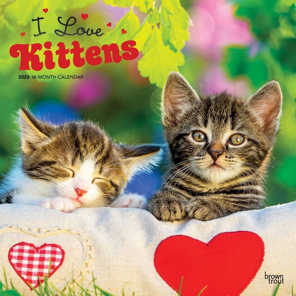 I Love Kittens 2025 Wall Calendar Main Image