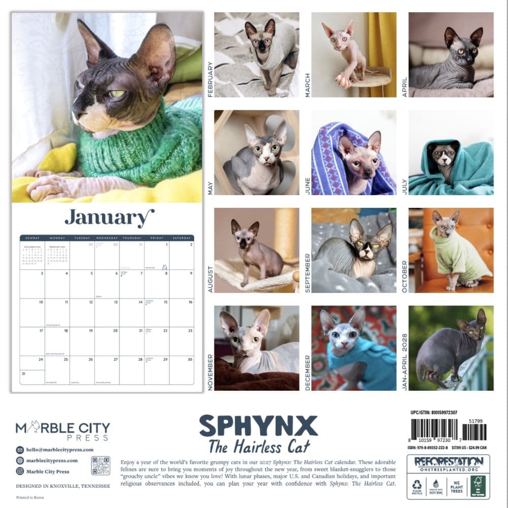 Sphynx the Hairless Cat 2027 Wall Calendar First Alternate Image