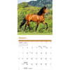 image Horses 2026 Mini Wall Calendar Second Alternate Image
