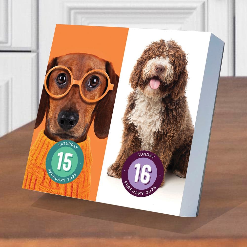 Dogs Daily 2025 Desk Calendar interior weekend view