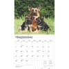 image German Shepherds Deluxe 2025 Wall Calendar Third Alternate Image