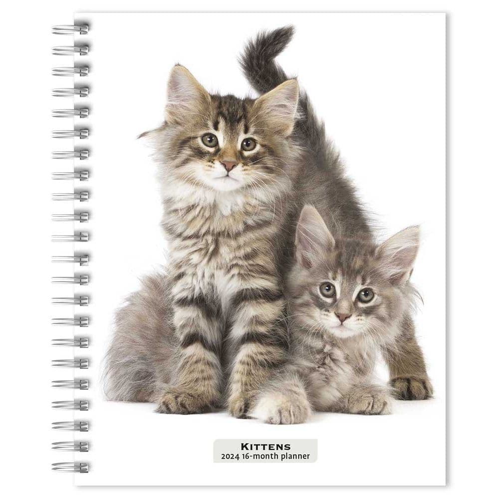 Kittens 2024 Planner Calendars Com   481d19fa B37a 4431 A7ab 4a0efbfcdd44