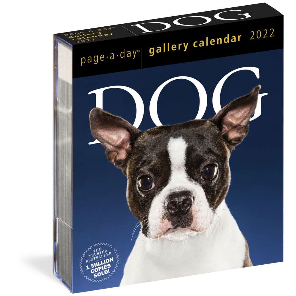 Dog 2022 Page-A-Day Gallery Calendar