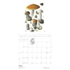 image Mushrooms Viazmensky 2026 Wall Calendar Fifth Alternate Image