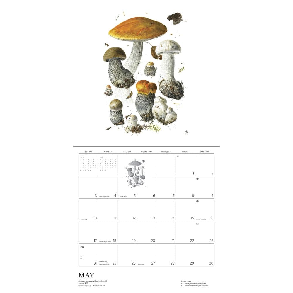 Mushrooms Viazmensky 2026 Wall Calendar Fifth Alternate Image