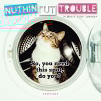 image Nuthin But Trouble 2026 Mini Wall Calendar Main Image