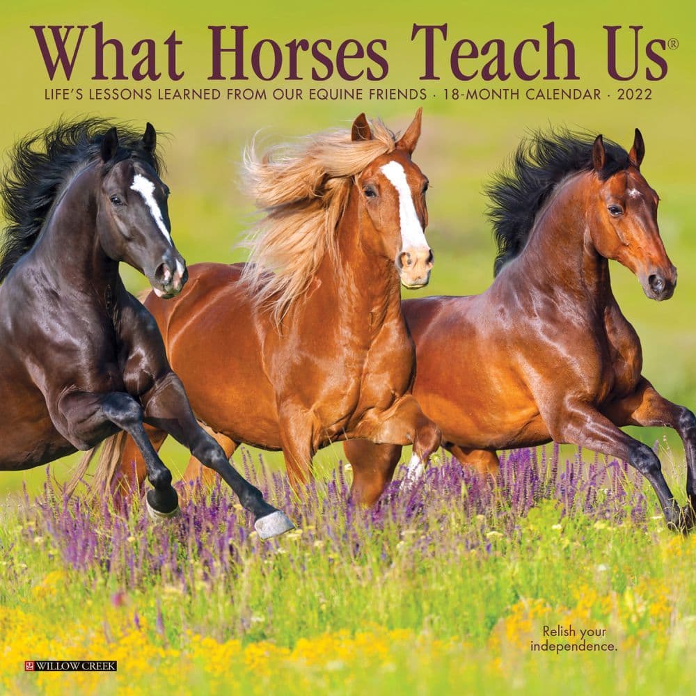 Horses What Horses Teach Us 2022 Mini Wall Calendar