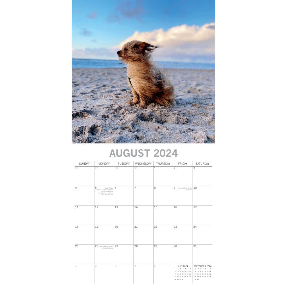 Dogs in the Wind 2024 Wall Calendar